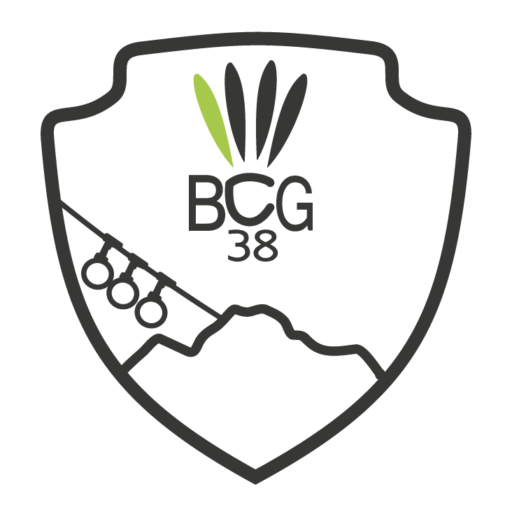 Logo du BCG